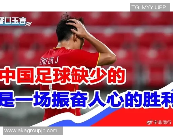 足球明星畅谈中国足球发展现状与未来潜力的深度分析