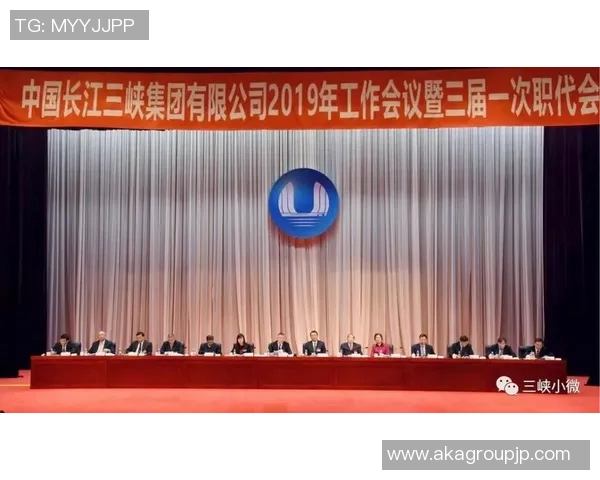 中国篮球明星运动员全景盘点与成就回顾分析